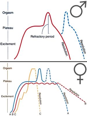 anal organsim|137 Women Explain What An Anal Orgasm Feels Like & How To .